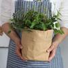 Imitation Paper Bag Vase Ornament Handicraft Hydroponic Flower Holder Flowerpot  Office