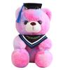 Cute Dress Colorful Doctor Bear Doll Plush Toy Teddy Bear Graduation Bear Doll Student Graduation Gift