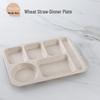 Assiette Repas Compartimentée Style Paille de Blé Nordique
