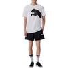 Puma Ess Woven Shorts Men's 683488-01