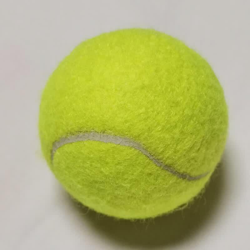 LISM High-Elastic Durable Training Tennis Balls
