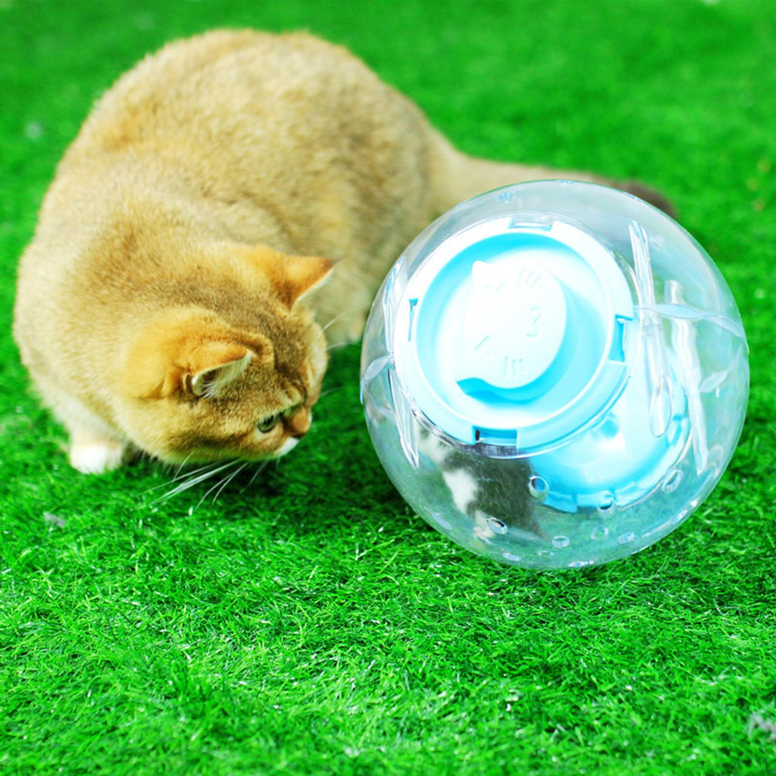 

16 Cm Hamster Exercise Ball, Gerbil Ball Wheel with Ventilation Holes, Easy Installation Cage синий