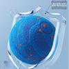 Self-Moving Automatic Rolling Ball Waterproof Bouncing Dog Ball New Smart Pet Balls  Indoor Use