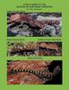 Книга A Field Guide To the Geckos of Northern Territory