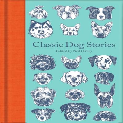 Classic Dog Stories Hardback Book 9781529021059
