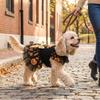 Pumpkin Print Pet Wizard Dress Big Bow Decor Pet Puff Sleeve Skirt  Halloween Party