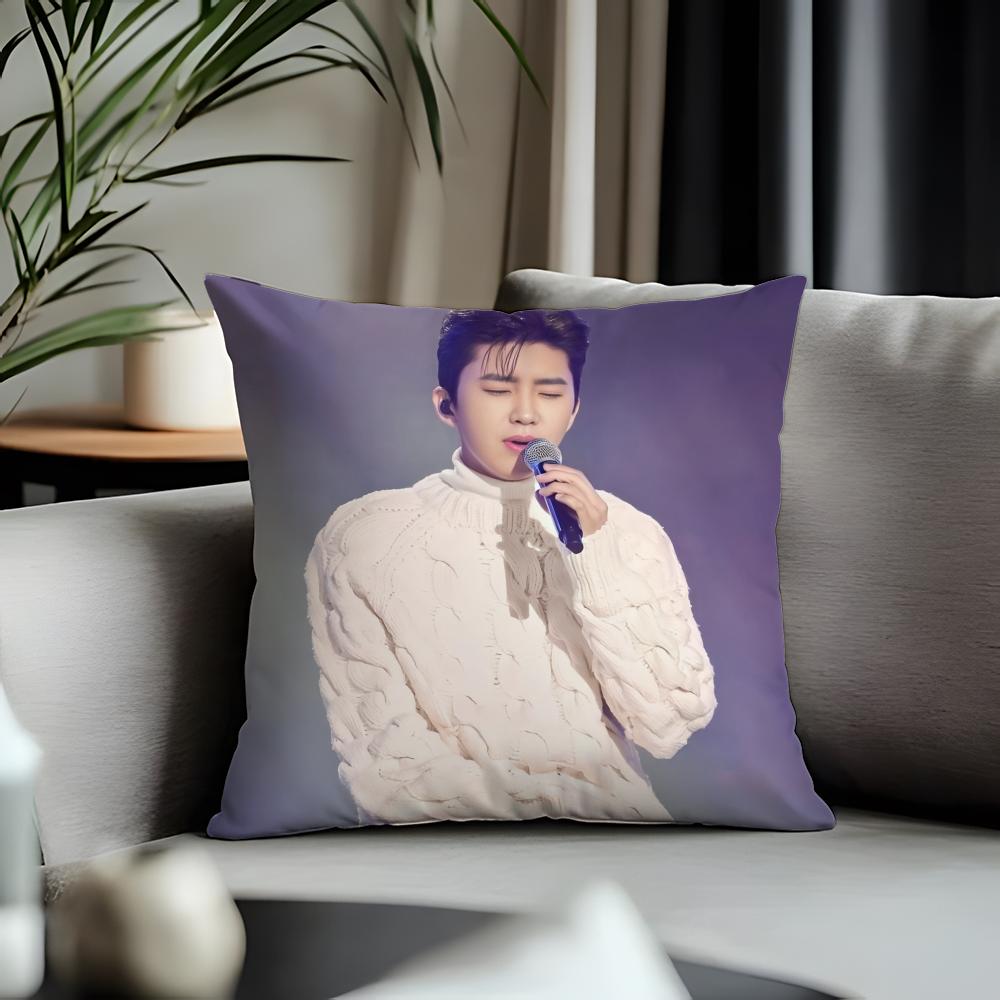 Trending LLlim Young Woonged Cushion Cover Antidustmite Pillowcase Invisible Zipper Silky Short Plush Sofa Cushion Cover