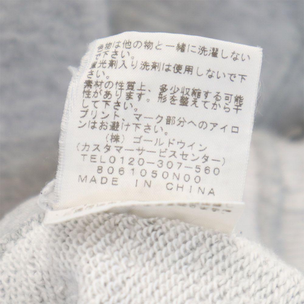 The North Face NT61802X Print Long Sleeve Outdoors Trainer L Gray Sweat Men's Used