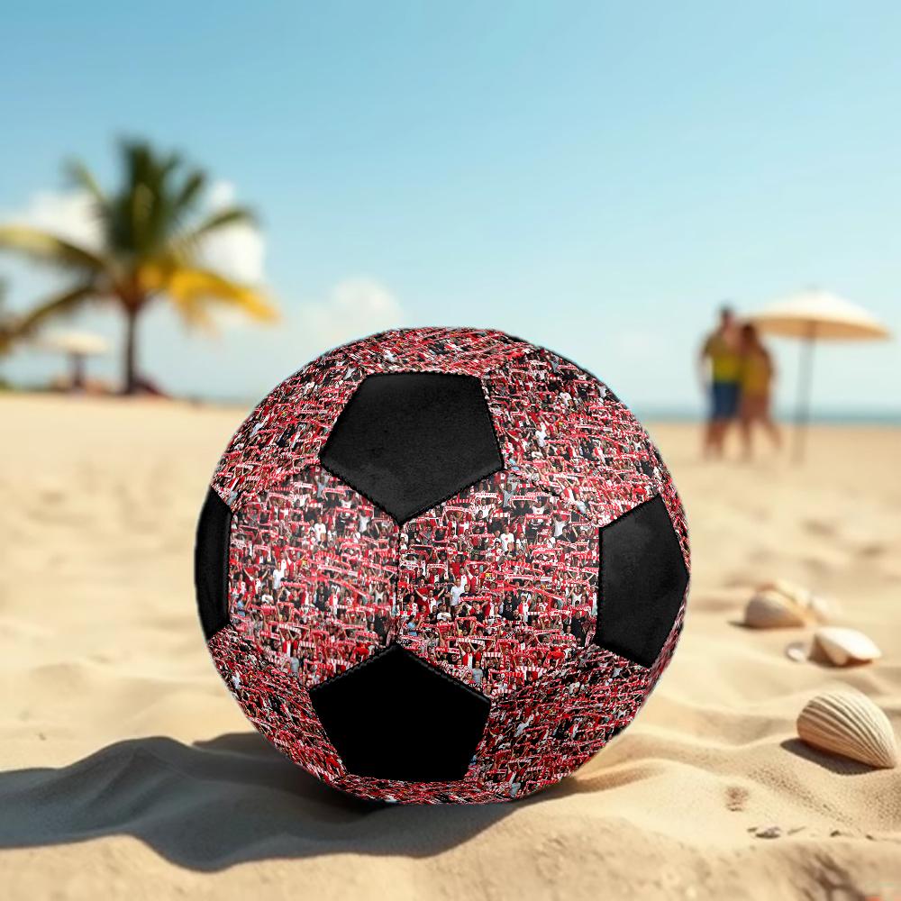 SK Slavia Praha Soccer Ball, Colorful, Suitable for All Ages, Machine-stitched, PVC Material, Competition Grade, Durable and High Bounce