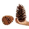 1-15CM Natural Pine Cone Christmas Ornaments: Creative Photo Props & Dried Floral Décor Pendants