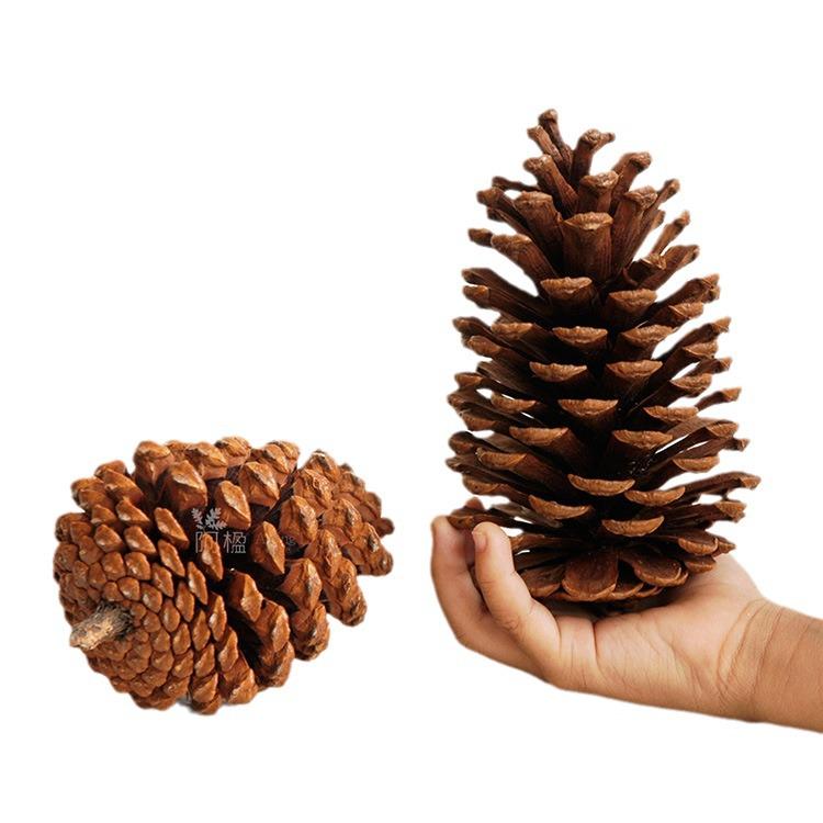 1-15CM Natural Pine Cone Christmas Ornaments: Creative Photo Props & Dried Floral Décor Pendants