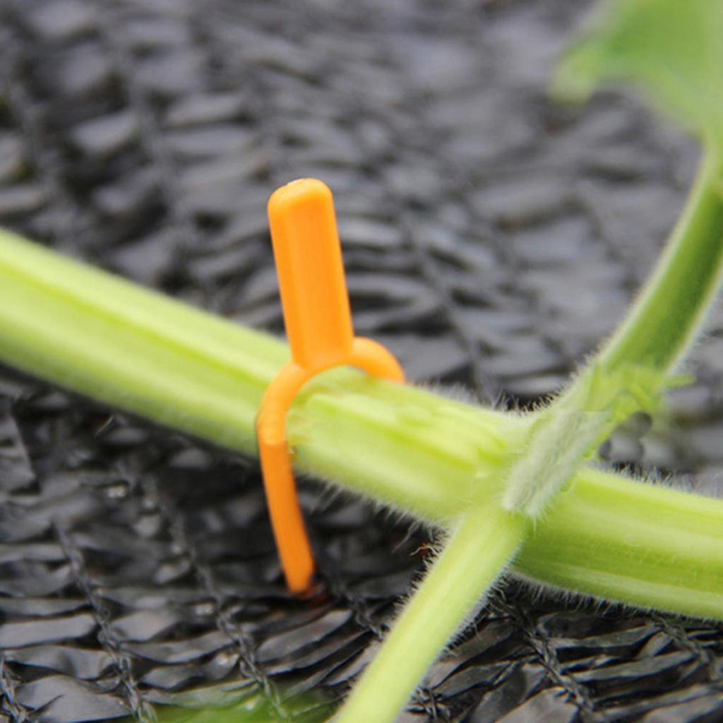50PCS Strawberry Planting Fork Garden Strawberry Planting Fork Watermelon Fastening Fixture Clamp Clip Plant Support for Garden