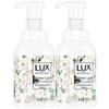 Lux Freesia Scent Antibacterial Hand Wash Twin Pack