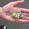 Realistic Multi Jointed Fishing Lure Key Ring Sturdy Alloy Plastic Construction Outdoor Fishing Gear Accessory
