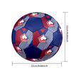 LOSC Lille Indoor Soccer Ball Colorful All Ages Size 5 Machine Stitched PVC Competition Ready Durable High-Bounce
