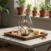 Micro Landscape Glass Greenhouse Succulent Vase and Lantern