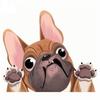Car Styling Cartoon Dog Stickers French Bulldog Windscreen Vinyl Decal Decor Waterproof Creative Car Stickers Decoration 12*10cm