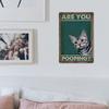 Vintage Funny Cat Bathroom Metal Poster Rustic Iron Wall Art 8x12 Inch