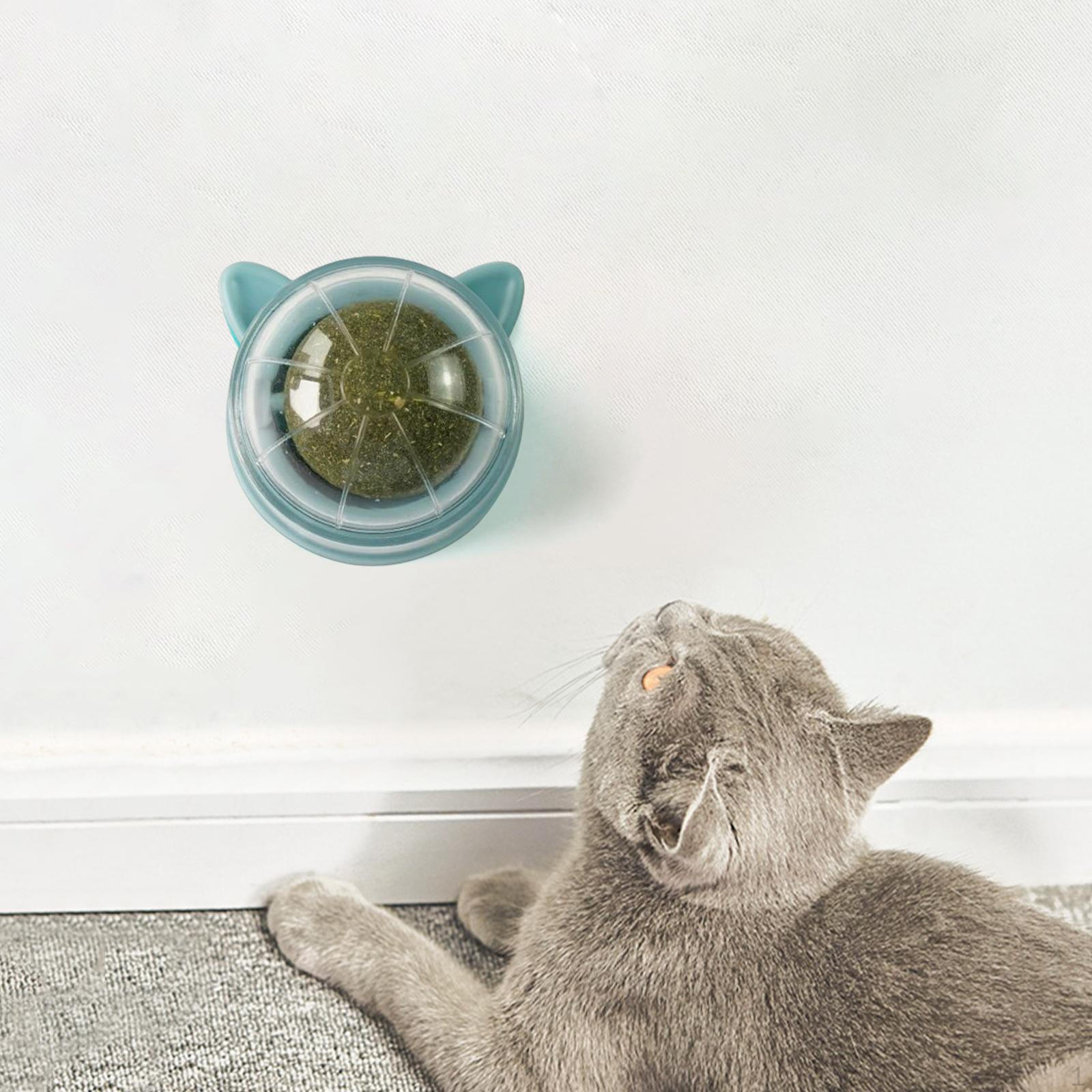 

Chew Cat Toy Posted On The Wall Teething Snacks Playing Catnip Ball Toys style D