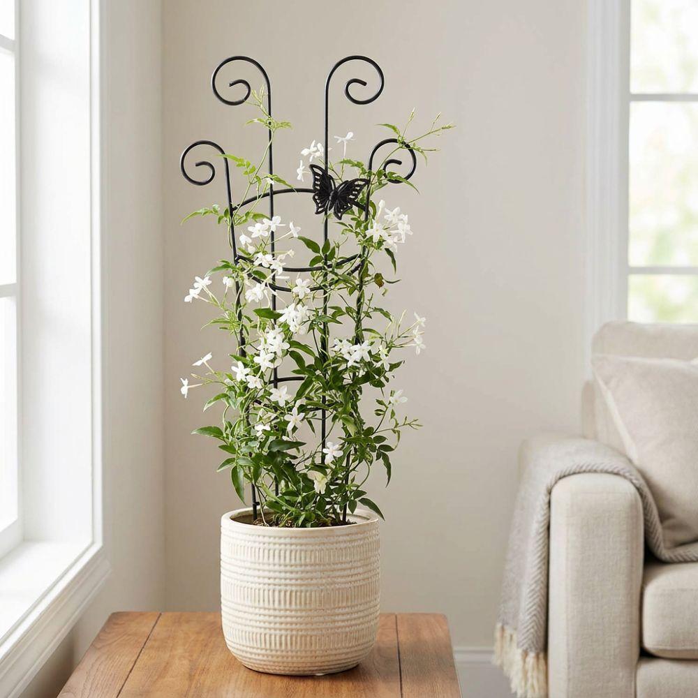 Butterfly Shaped Plant Climbing Trellis Strong Load Bearing Plastic Flower Pot Bracket Rust-Resistant Thickened