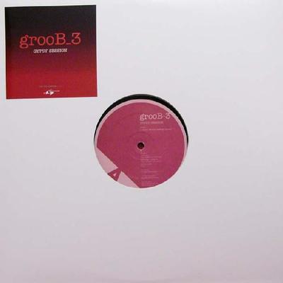 12inch Record GROOB3  Gypsy Session DG17 DIW The Garden 2005 Japan Dance  Electronica Used