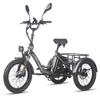 FAFREES F20 Mate Electric Cargo Tricycle 500W Motor, 48V 21Ah Battery, Hydraulic Parking Brakes, 30KM/H Speed, 80-90KM Range E-Bike