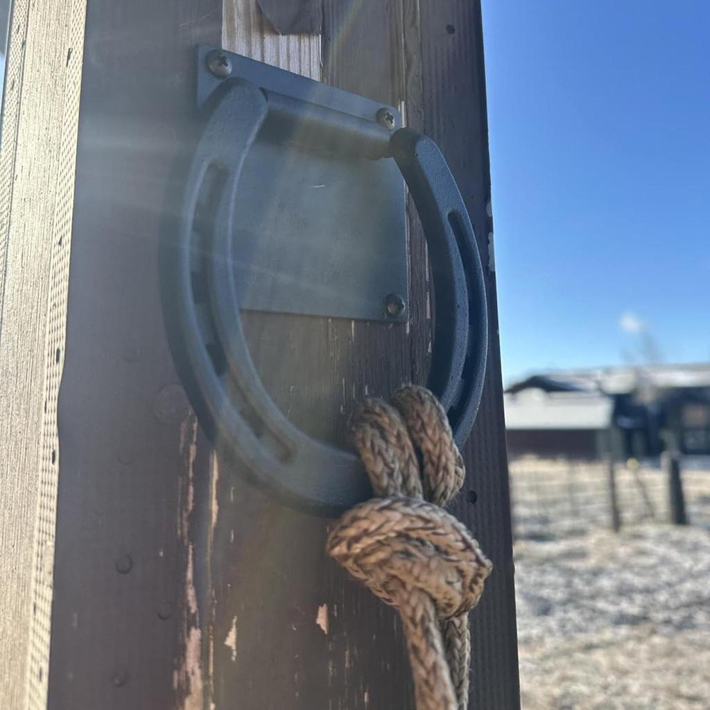 Horse Pull Back Tie Ring Tie Hitching Ring Wall Mount Tack Barn Supplies With Expansion Screws For Animal Containment Riding