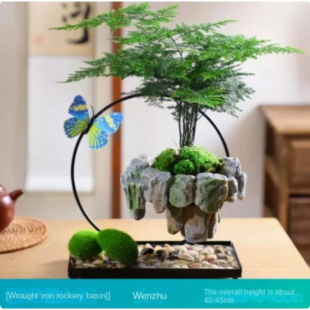 Facai Tree Nantianzhu Mizhu Bryophyte Green Plants Potted In the Living Room Office Small Leaf Rosewood Potted Landscape