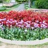 1Set Plastic Garden Edging Border Fence Imitation Stone Landscape Edging for Flower Beds Pathways Lawn Decorative Flexible DIY
