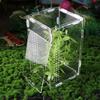 Transparent Reptile Feeding Box Ventilated Spider Observation Box  Landscape Habitat