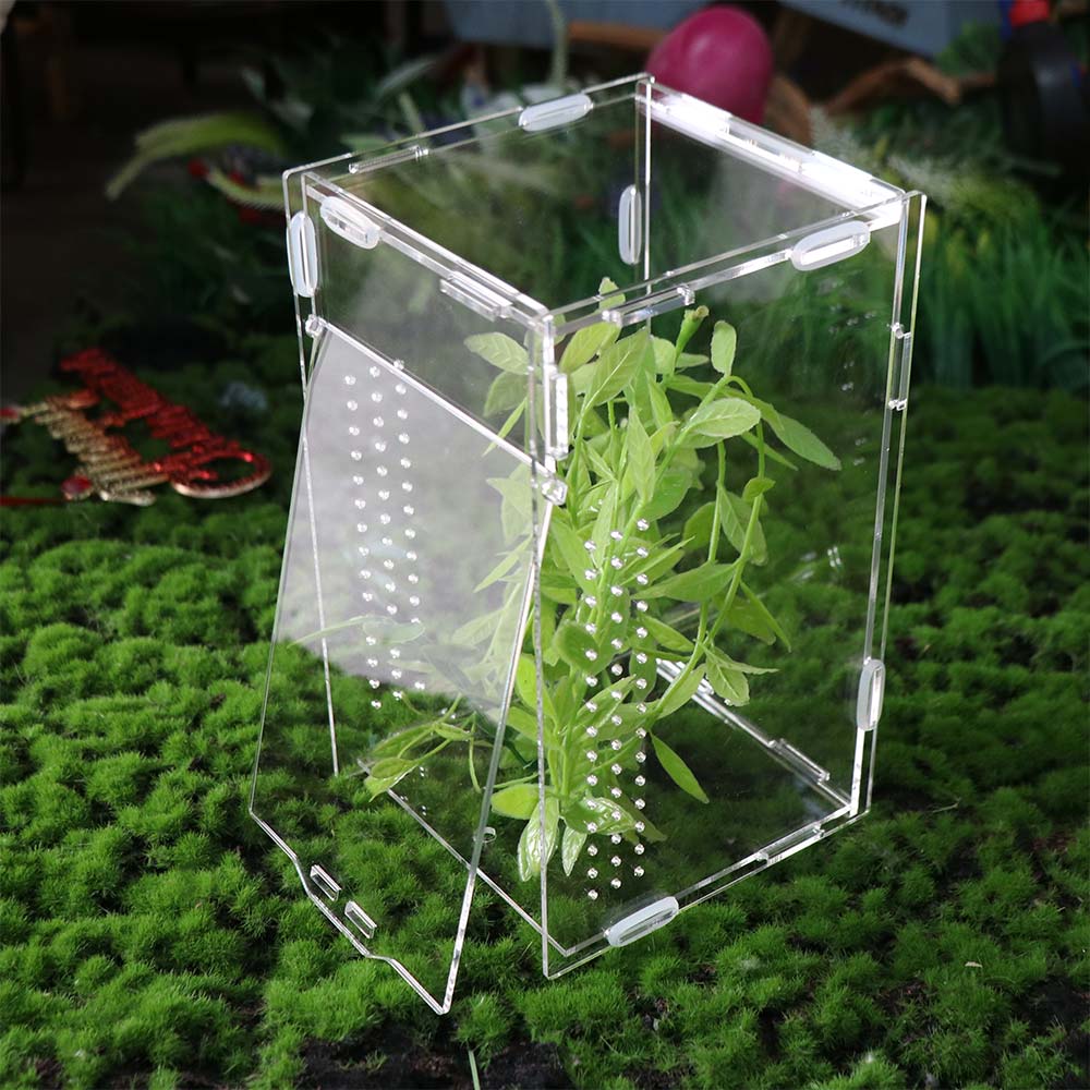 Transparent Reptile Feeding Box Ventilated Spider Observation Box Landscape Habitat