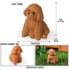 Solid Cute Animal Models: Squirrel, Shiba Inu, Teddy, Hamster, Panda, Flying Squirrel Car/Desktop Ornaments
