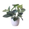 Useful Gadgets Foliage Plant Potted Bonsai Wedding Party Mall Desktop Adorn