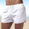 9 Farben Schnell trocknende Shorts Laufsport Shorts Herren Shorts Sommer Strandshorts Boxershorts Freizeitshorts Strandshorts