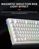 DAREU EK75RT Gaming Keyboard with Rapid Magnetic Adjustable Wired English Volume Control White Triggers, Switches, Actuation, Tenkeyless, TKL, USB,