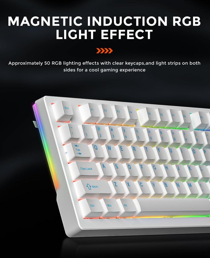 DAREU EK75RT Gaming Keyboard with Rapid Magnetic Adjustable Wired English Volume Control White Triggers, Switches, Actuation, Tenkeyless, TKL, USB,