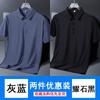 Pierre Cardin Men's Ice Silk Short Sleeve Polo Shirt