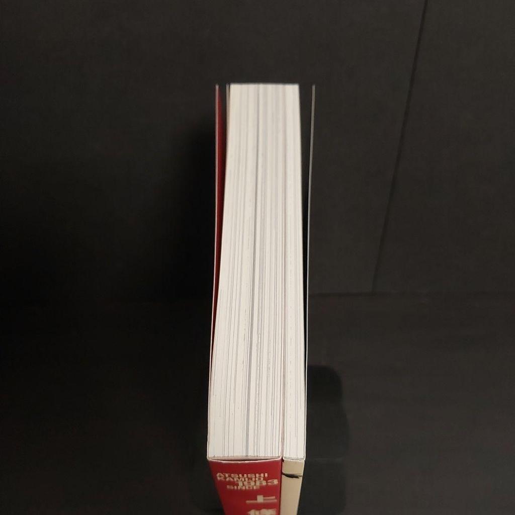 [USED] Junji Kamijo Art Collection 1983*