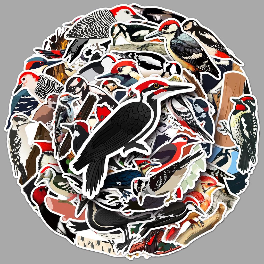 50 Pcs Woodpecker Stickers - Cartoon Forest Animals, Waterproof DIY Decoration for Phone, Laptop, and Journal