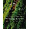 Fragrant Japanese Hinoki Scented Hand Cream, 30g, Smooth and Moisturizing, Made with Hinoki Cypress from Yabu City, a Great Birthday Gift