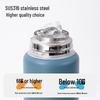 Diller Student 316 Stainless Steel Thermos with Tea Infuser