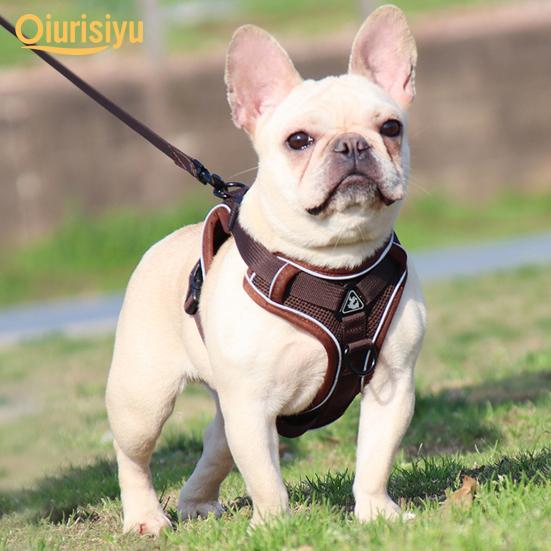 

Светоотражающая безопасная ходьба из сэндвич-сетки для собак и домашних животных