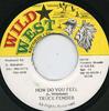 7inch Record CHUCK FENDER  How Do You Feel NONE Wild West Jamaica Reggae Ska  Dub Used