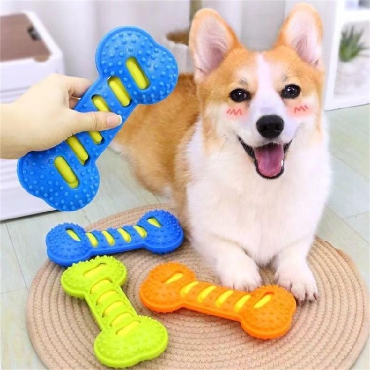 Squeaky Dog Chew Toy Dog Teeth Cleaning Toy for Training,Playing,Chewing Toughs Durable Dogs Bone for Teeth Cleaning