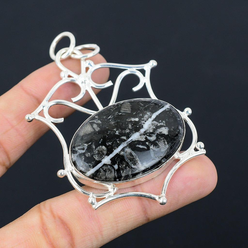 925 Sterling Silver Oval Natural Black Fossil Coral Root Chakra Wife New Pendant