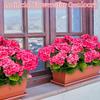 Artificial Geraniums Flowers for Outdoors Summer Decor, 4 Bundles UV Resistant Fake Geraniums Flowers Silk Faux Plants for Home Planter Gardens Table