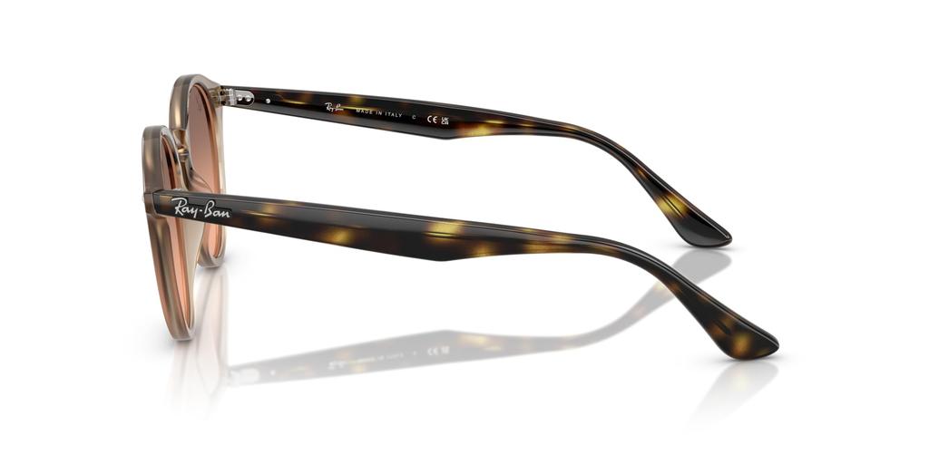 Sunglasses 0RB2180F TORTLDOVE 49 [Ray-Ban]