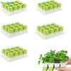 1 Set Saatstarter-Schale Mini-Gewächshaus Keimungs-Set mit Feuchtigkeitsglocke Pflanzen-Setzling Anzuchtschale mit Basis Vermehrungs-Set