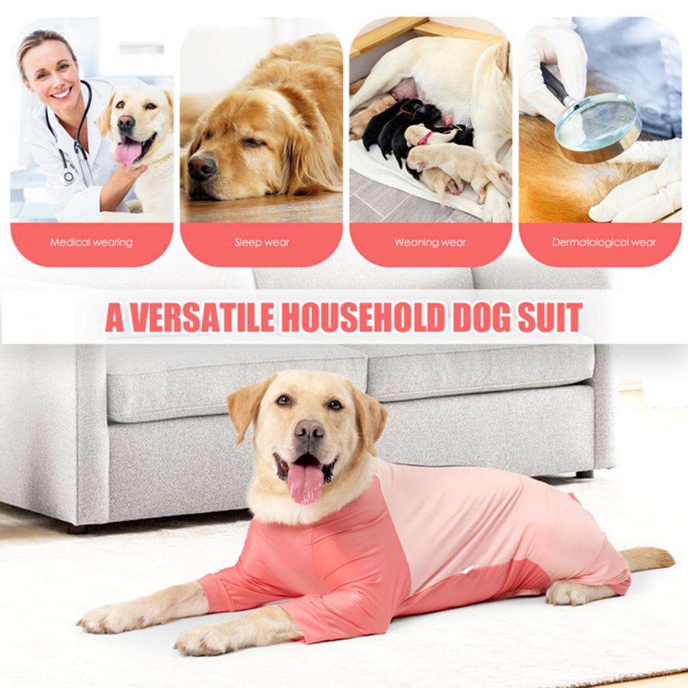 Kombinezon pooperacyjny dla psa Kombinezon pooperacyjny dla psa Kombinezon pooperacyjny dla suki z długimi rękawami Kombinezon na ranę brzuszną dla zwierzęcia