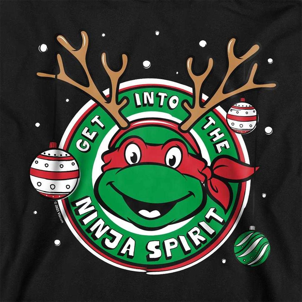 Teenage Mutant Ninja Turtles Childrens/Kids Get Into The Ninja Spirit Pullover Hoodie